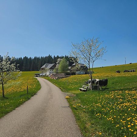 Lorenzenhaeusle Titisee-Neustadt Kültér fotó