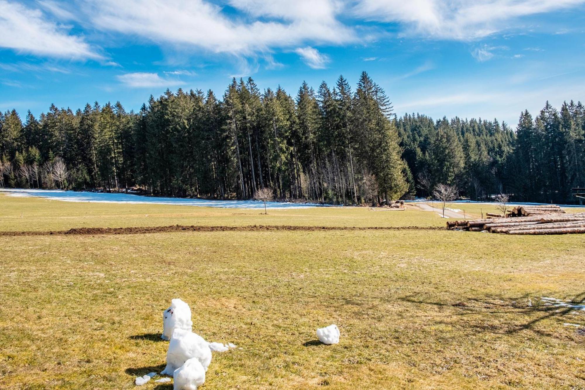 Lorenzenhaeusle Titisee-Neustadt Kültér fotó