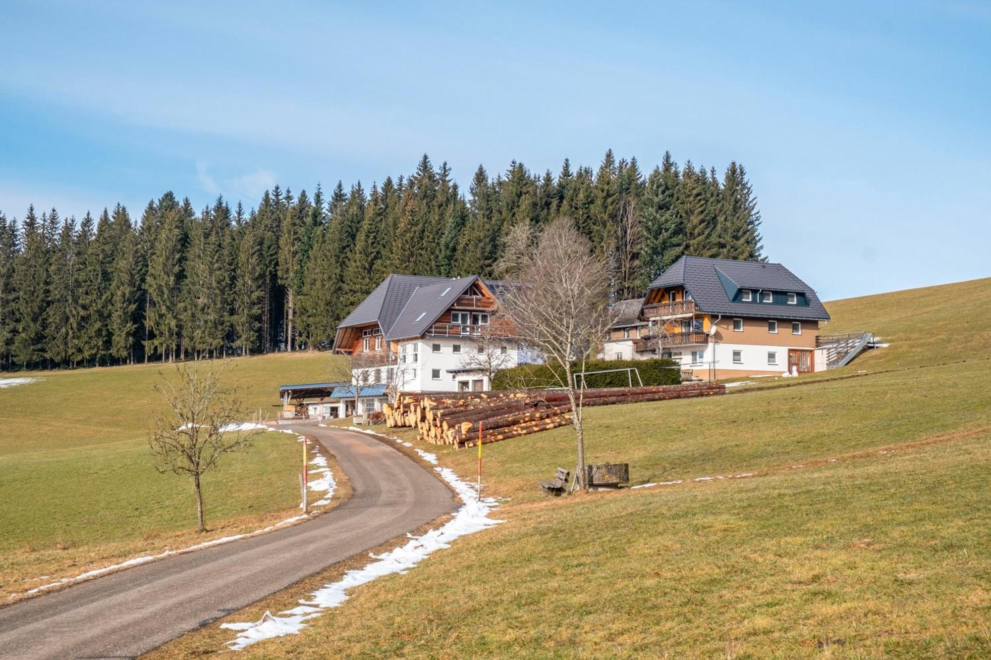 Lorenzenhaeusle Titisee-Neustadt Kültér fotó