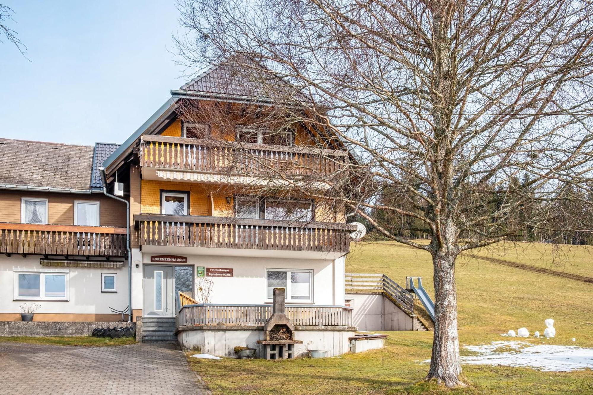 Lorenzenhaeusle Titisee-Neustadt Kültér fotó