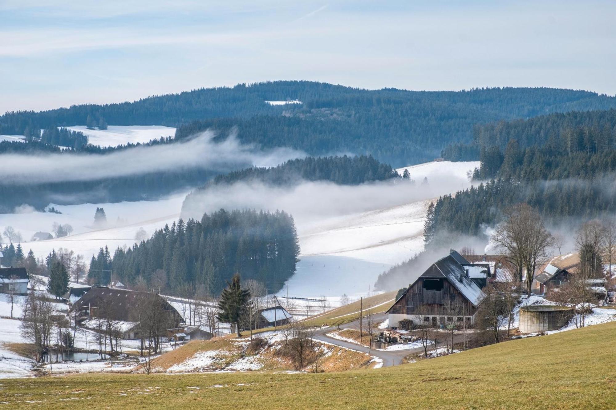 Lorenzenhaeusle Titisee-Neustadt Kültér fotó