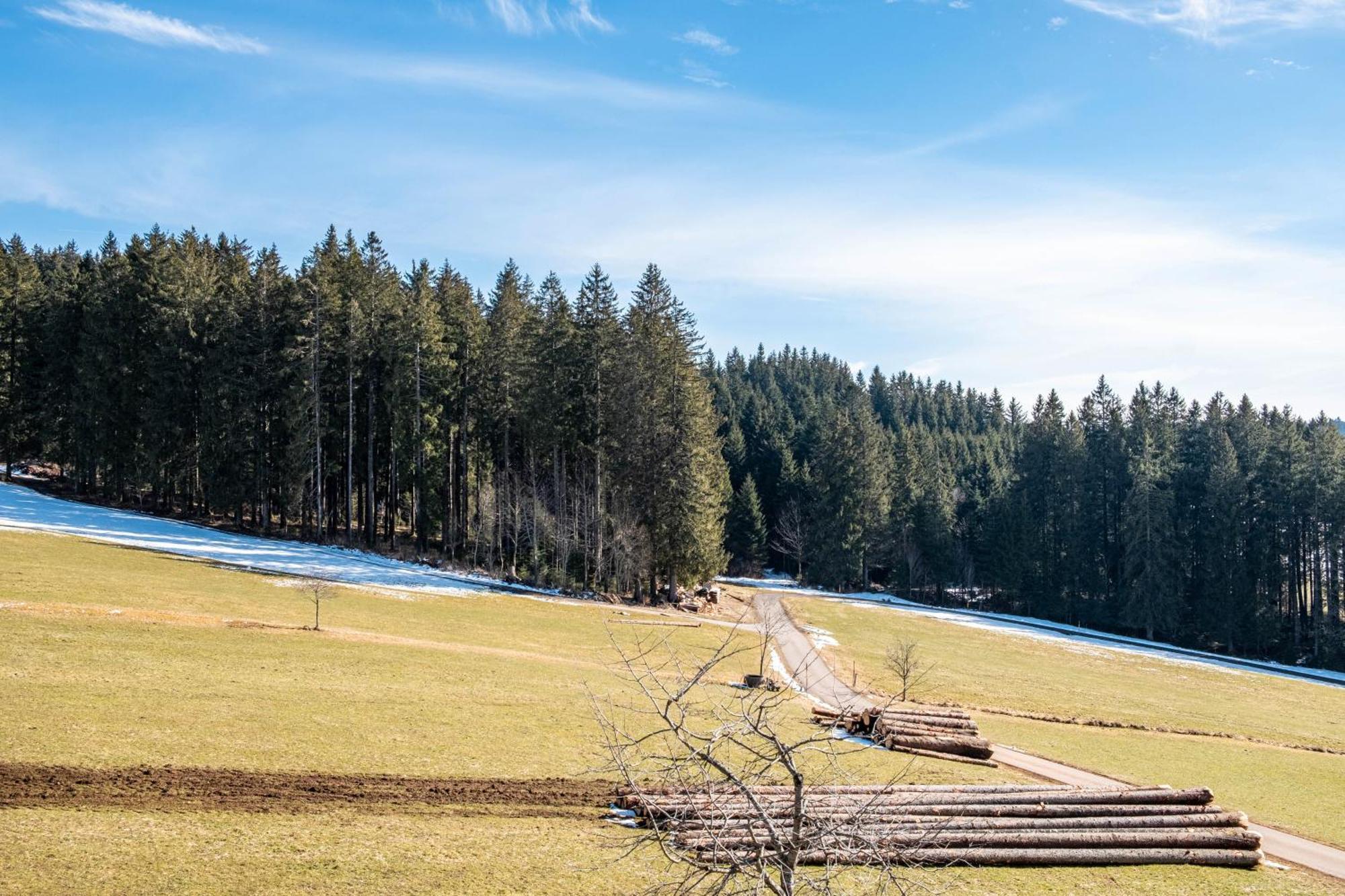 Lorenzenhaeusle Titisee-Neustadt Kültér fotó