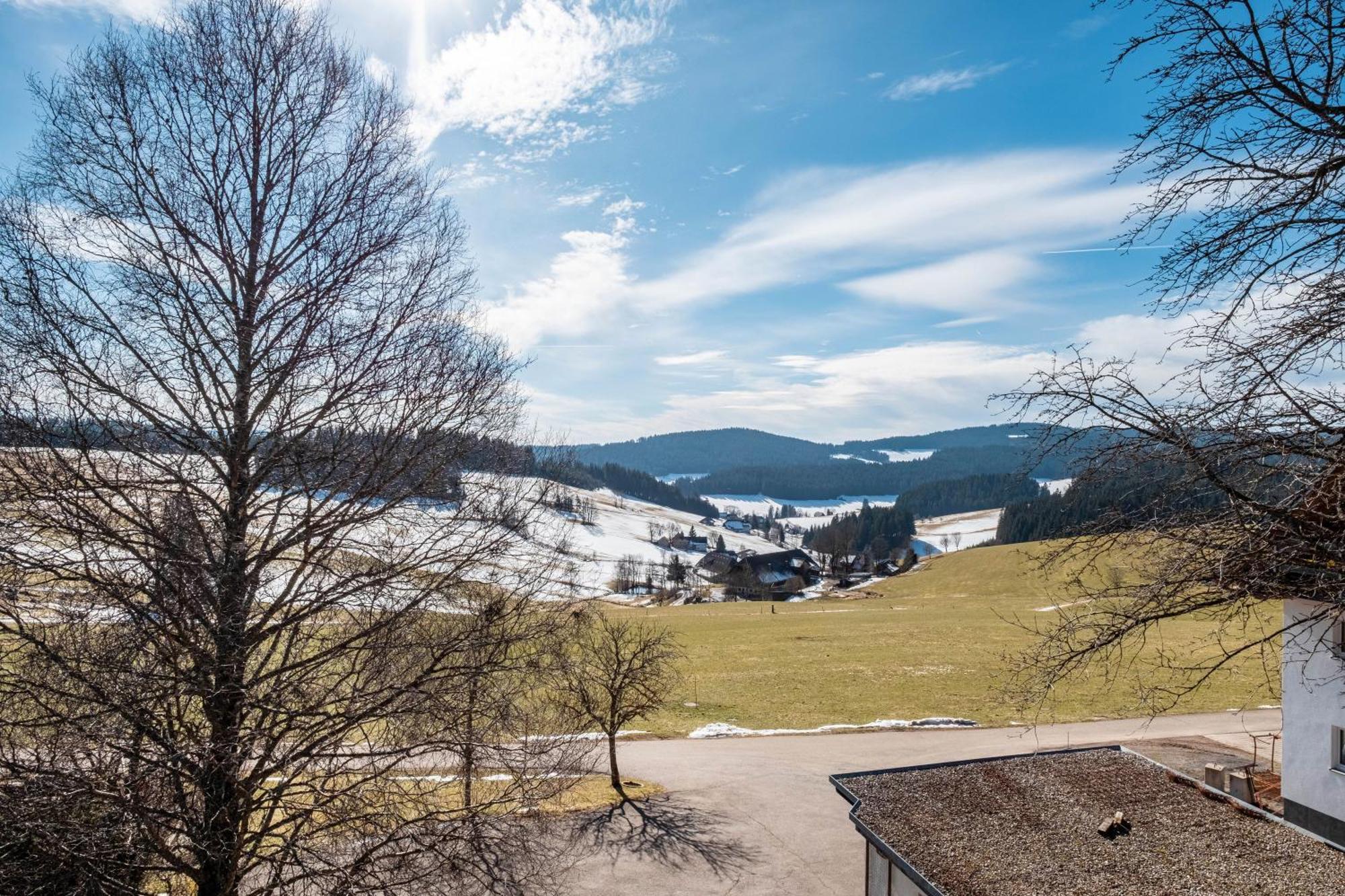 Lorenzenhaeusle Titisee-Neustadt Kültér fotó