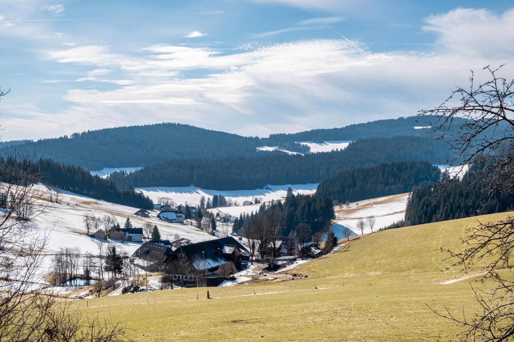 Lorenzenhaeusle Titisee-Neustadt Kültér fotó