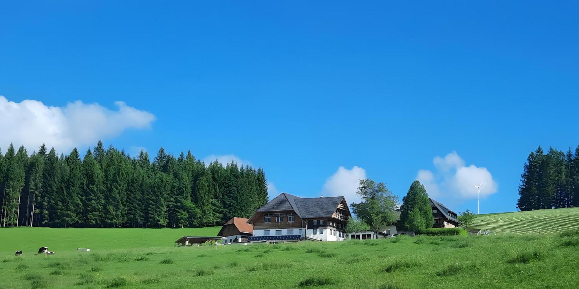 Lorenzenhaeusle Titisee-Neustadt Kültér fotó