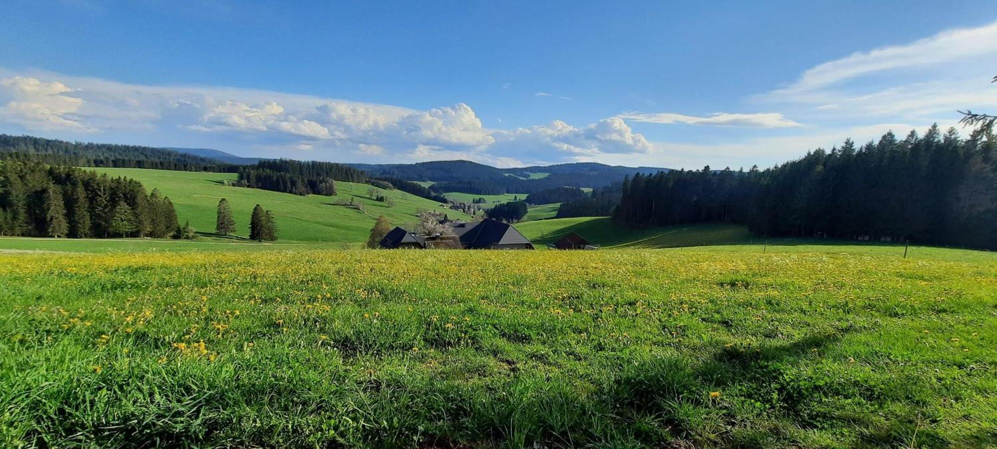 Lorenzenhaeusle Titisee-Neustadt Kültér fotó