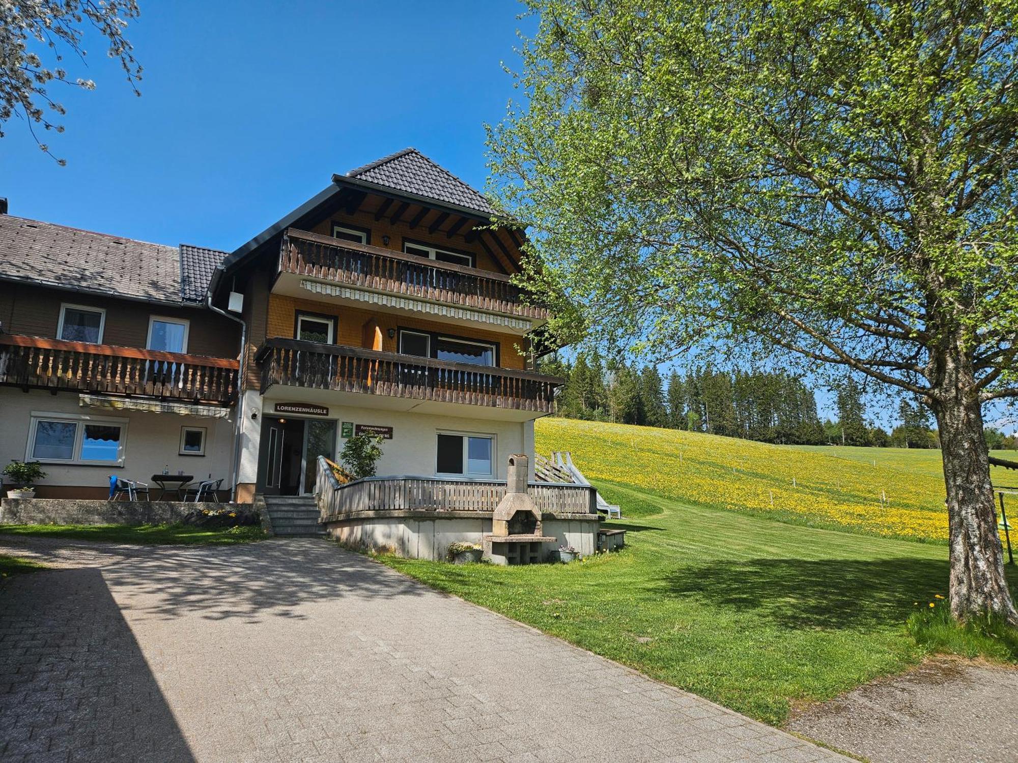 Lorenzenhaeusle Titisee-Neustadt Kültér fotó